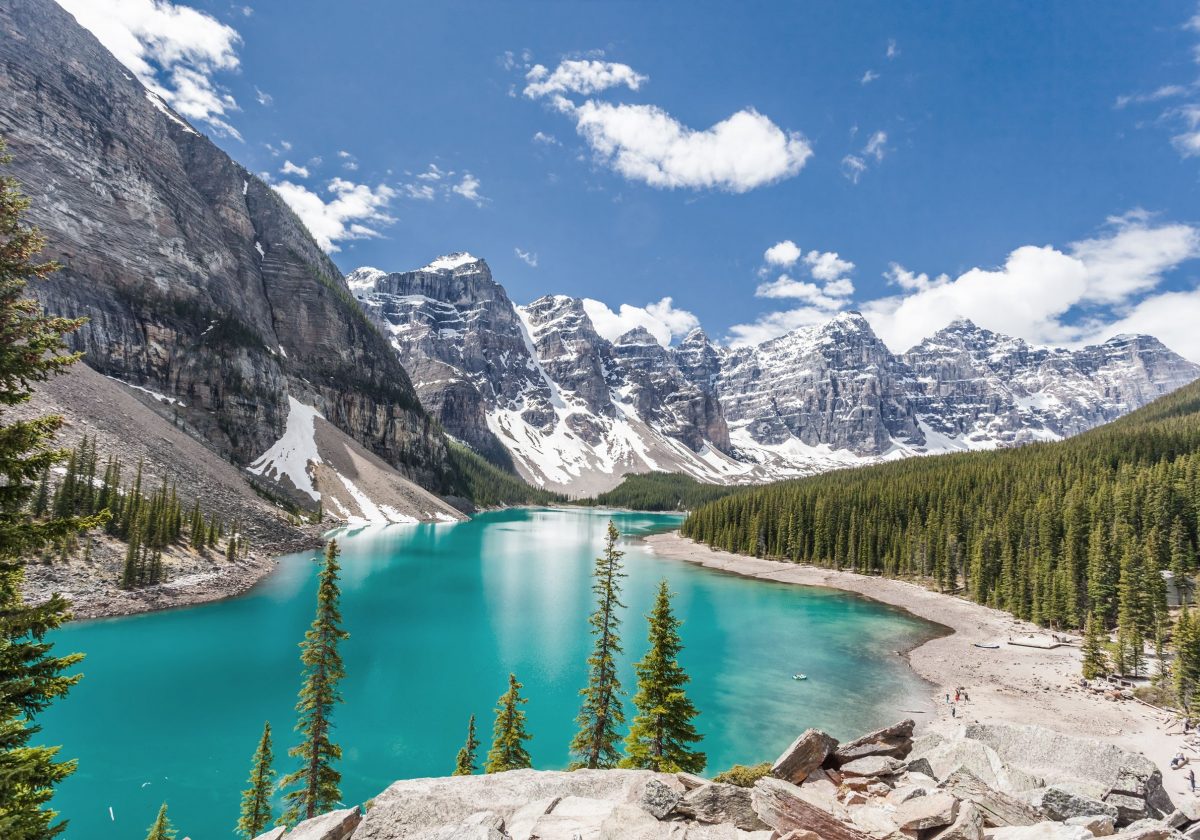 Rockies Header