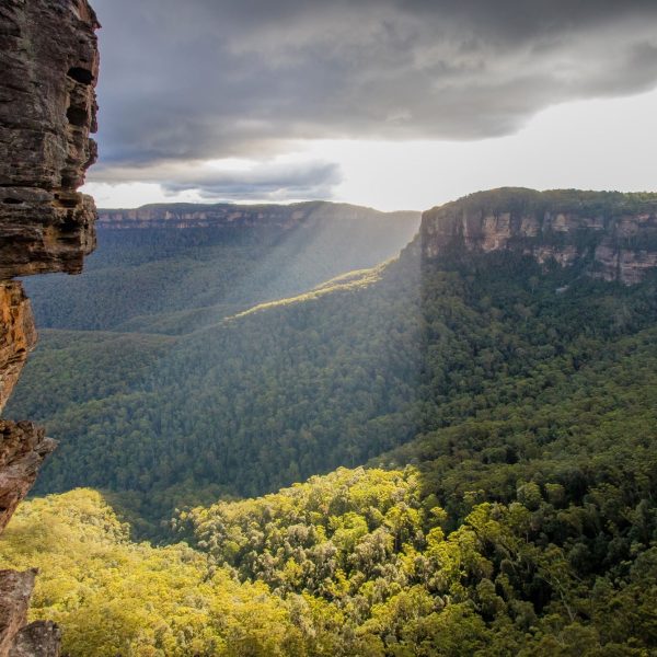 Take in the Blue Mountains