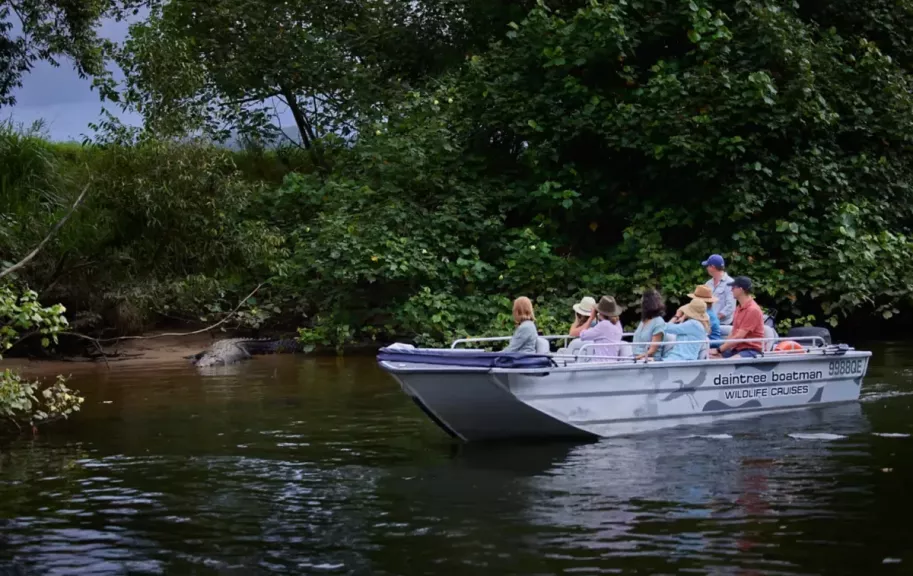 2021 TNQ Daintree Boatman Wildlife Cruises Crocodile Wildlife Experiences Brad Newton 148138