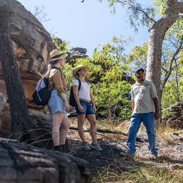 Aboriginal Cultures of the Daintree