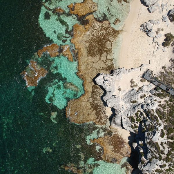 Experience Rottnest Island