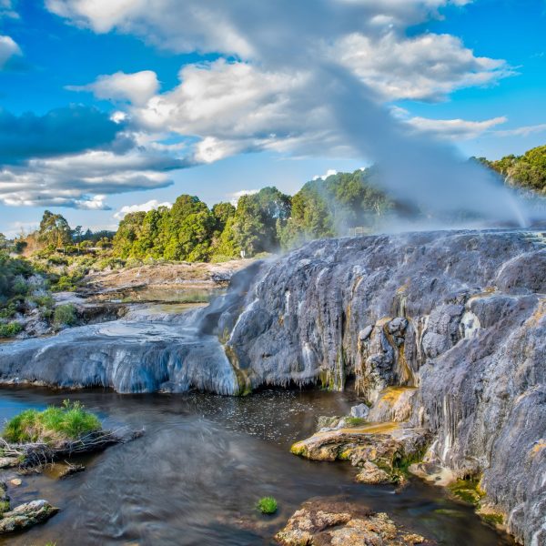 Venture to Te Puia