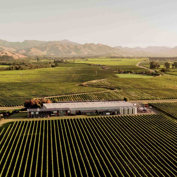 Visit Marlborough's Top Wineries