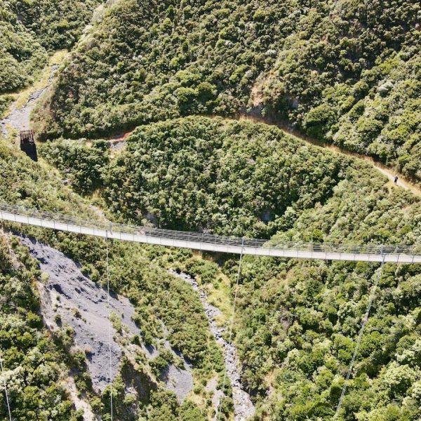 Cycle the Remutaka Trail