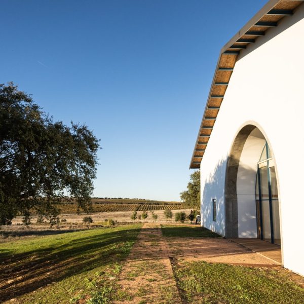 Discover the Wines of Alentejo