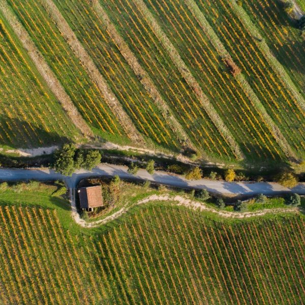 Explore the Dão Wine Region