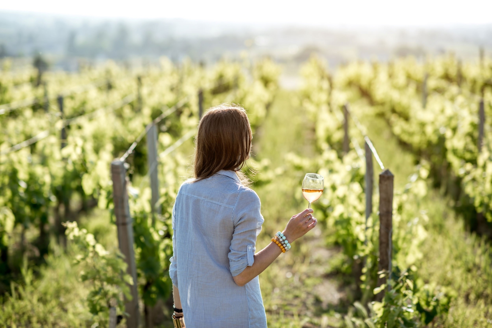 ITV Homepage Into the Vineyard
