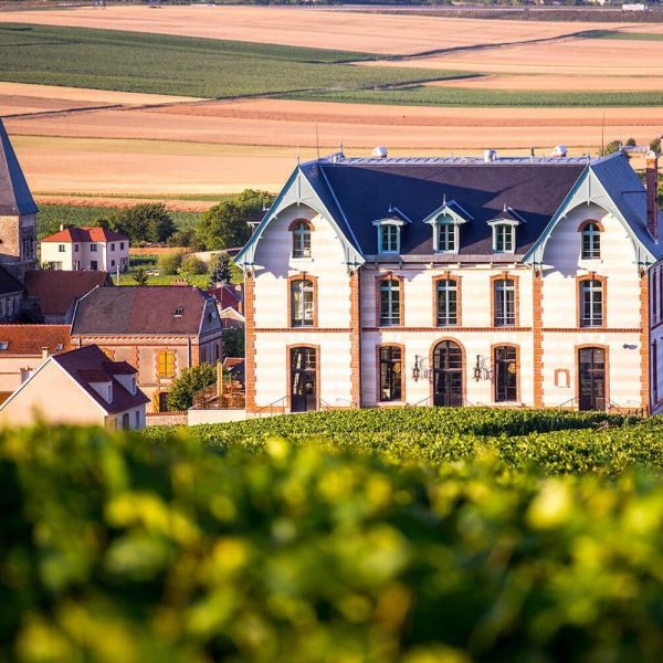 Explore Château De Sacy