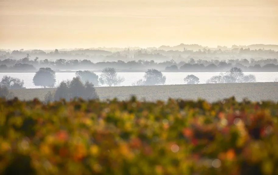 Image moyen chateau pichon baron serge chapuis 2017 3