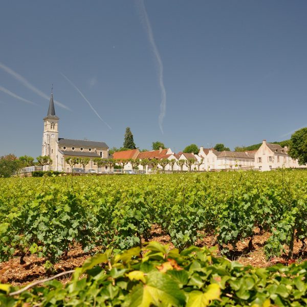 Experience an Aloxe-Corton Tasting