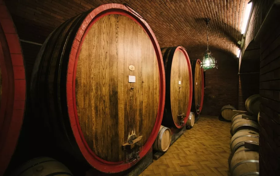 Wine cellar